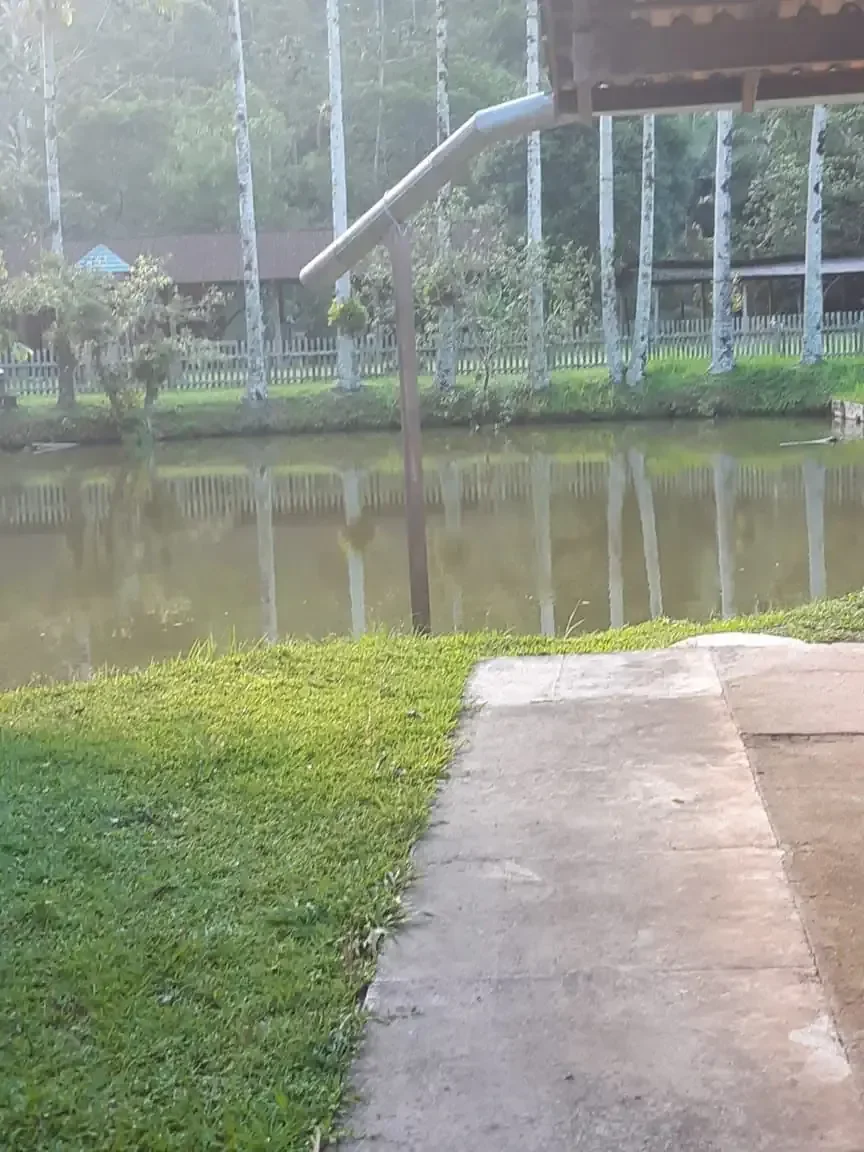 Foto 10 de Sítio com Lago de Peixes e Riacho no Bairro Caetés em Camboriú – 25.125m², Casa, Frutíferas e Lazer Completo
