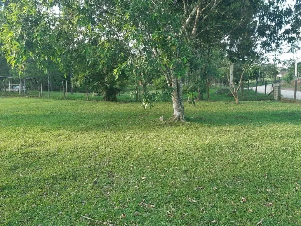 Foto 13 de Sítio com Lago de Peixes e Riacho no Bairro Caetés em Camboriú – 25.125m², Casa, Frutíferas e Lazer Completo